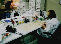 Teeth Whitening Tray Cutting